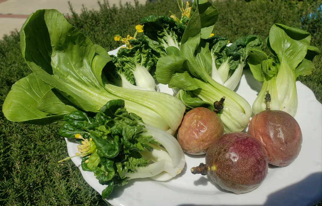 Seasonal Asian Greens